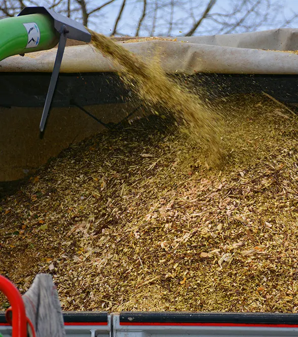Valorisation des ressources naturelles Landaul,Valorisation des ressources naturelles Pluvigner,Valorisation des ressources naturelles Morbihan