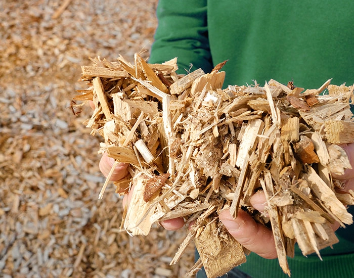 valorisation des ressources naturelles Landaul,valorisation des ressources naturelles Pluvigner,valorisation des ressources naturelles Morbihan